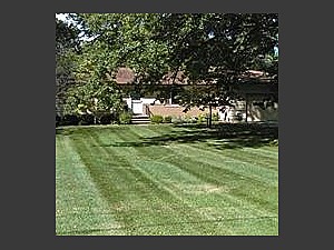 Lawn Striping, Lakewood, OH 